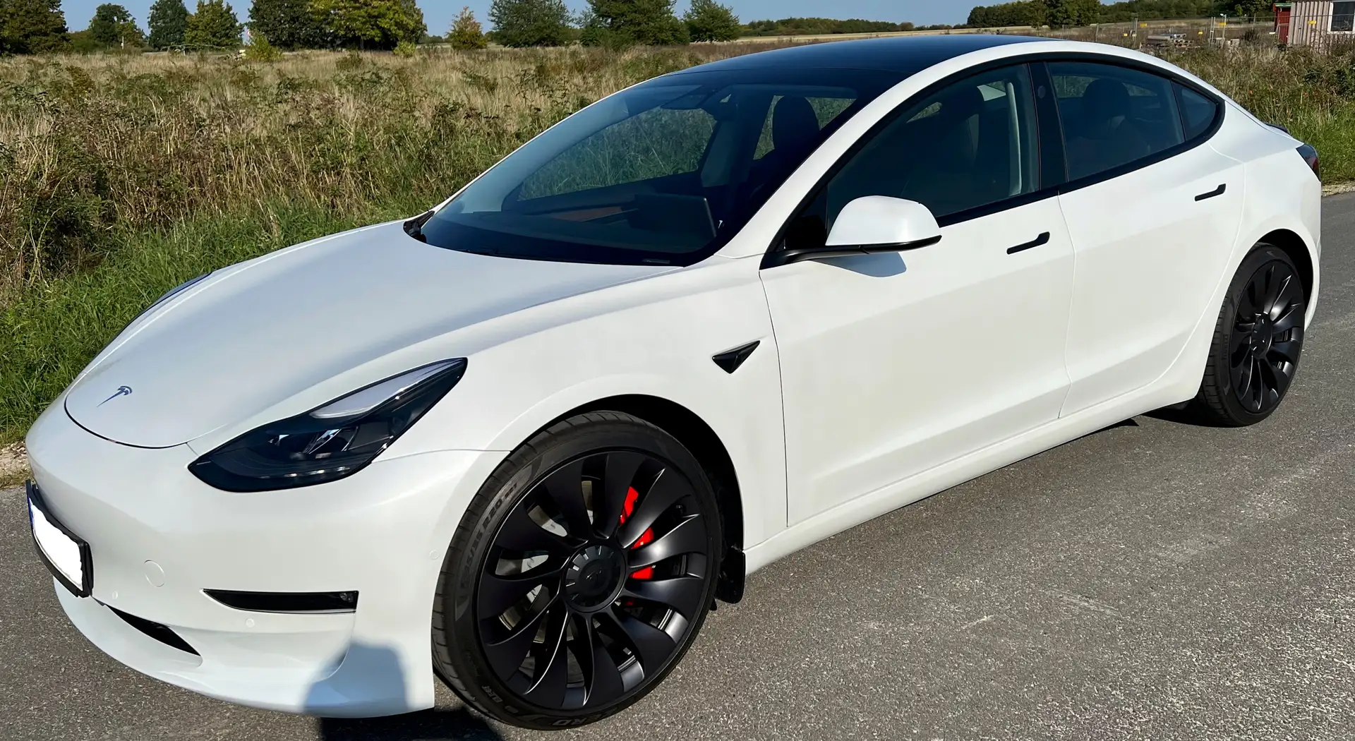 Tesla Model 3 Dual Motor Performance Weiß - 1