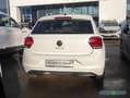 Volkswagen Polo United 1.0TSI Keyless RFK Navi SHZ PDC 16" Weiß - thumbnail 3
