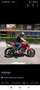 Ducati Monster 796 Red - thumbnail 2