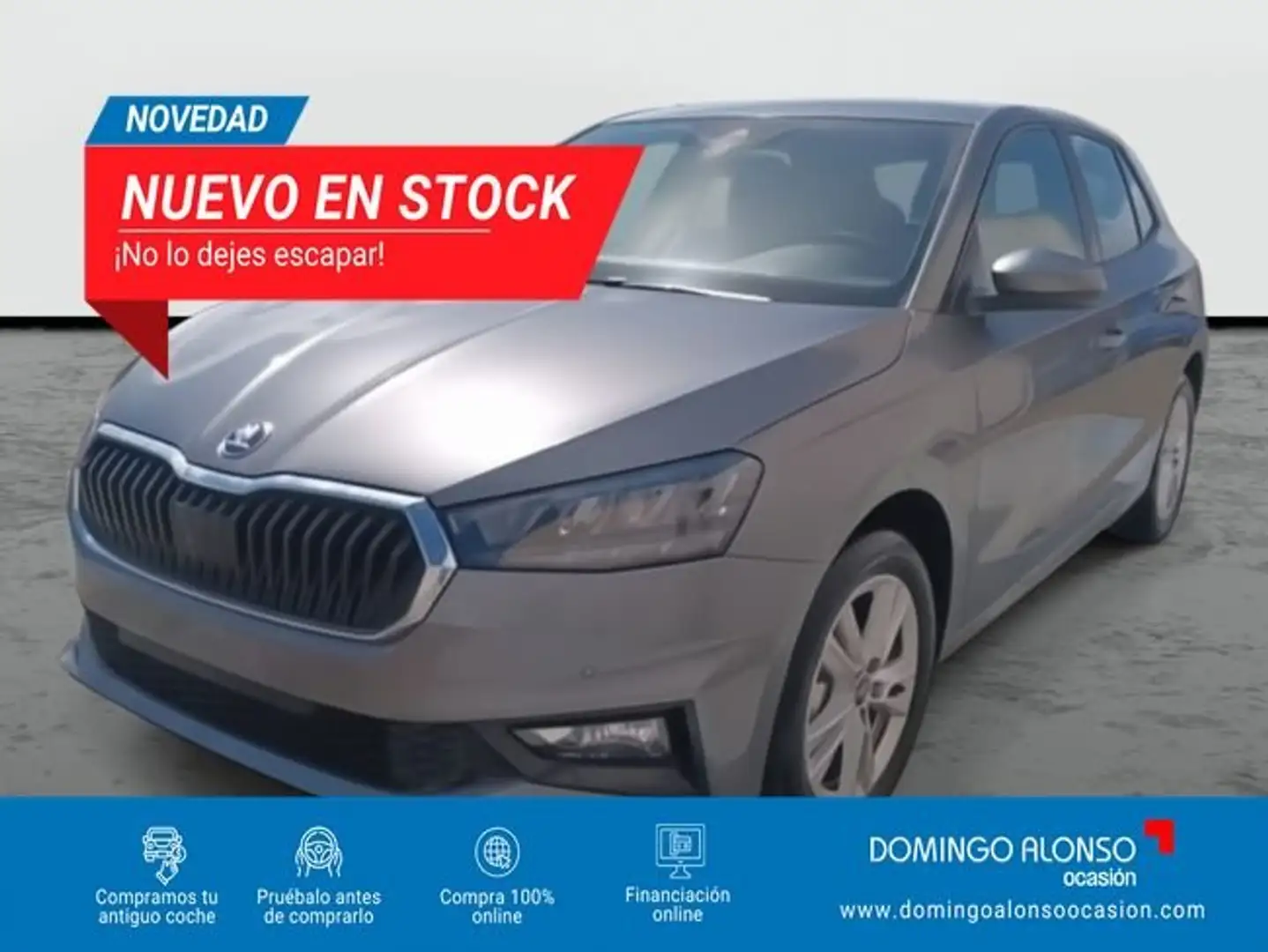 Skoda Fabia Selection Advanced 1.0 TSI 70 kW (95 CV) Manual 5 Gris - 1
