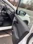 Nissan Qashqai 1,3 DIG-T N-Connecta - thumbnail 14