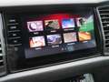 Skoda Kodiaq RS 4x4 StHZ RFK StHZ el.HK Gri - thumbnail 28