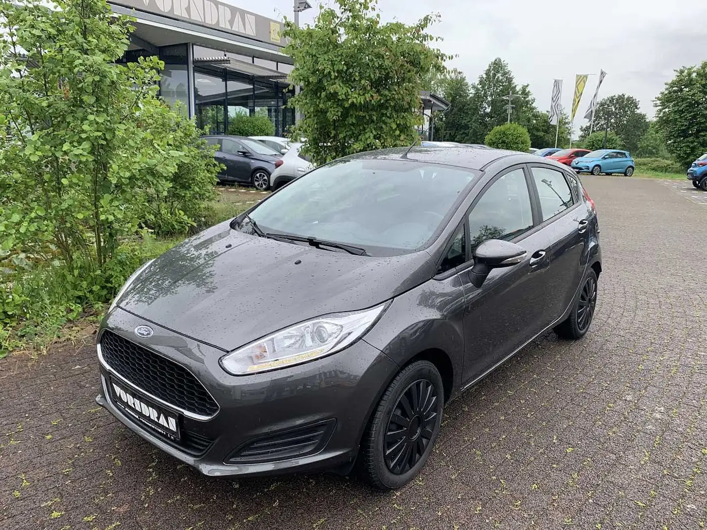 Ford Fiesta Trend 1,0 Klima SHZ beh WSS Grau - 1