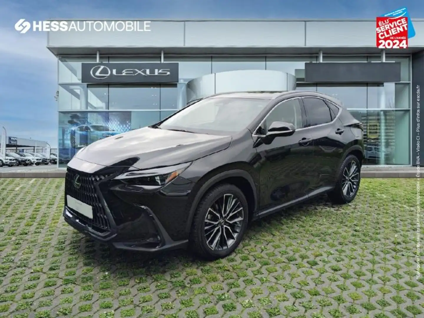 Lexus NX 450h+ 450h+ Executive 4WD MY24 - 1