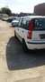 Fiat Panda 1.1 8V Active (169) Weiß - thumbnail 5