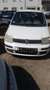 Fiat Panda 1.1 8V Active (169) Weiß - thumbnail 2