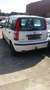 Fiat Panda 1.1 8V Active (169) Weiß - thumbnail 6