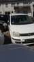 Fiat Panda 1.1 8V Active (169) Weiß - thumbnail 3