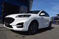 Ford Kuga ST-Line 2.0l EcoBlue 120PS Automatik Weiß - thumbnail 1
