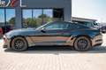 Ford Mustang 3,7 Gt 500 SHELBY LED ALCANTARA PERFORMA Чорний - thumbnail 12