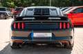 Ford Mustang 3,7 Gt 500 SHELBY LED ALCANTARA PERFORMA Чорний - thumbnail 14
