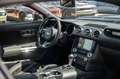 Ford Mustang 3,7 Gt 500 SHELBY LED ALCANTARA PERFORMA Zwart - thumbnail 29