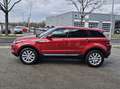 Land Rover Range Rover Evoque 2.0 TD4 150 4WD Pure ENTRETIEN LAND ROVER Rouge - thumbnail 4