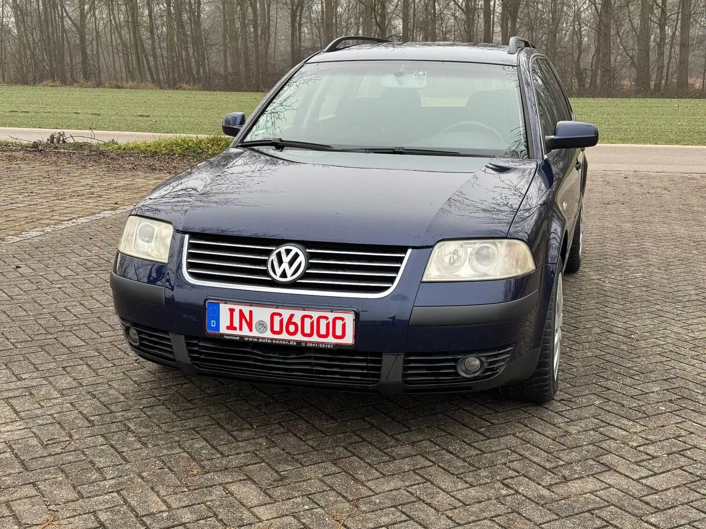 Volkswagen Passat Variant Trendline Blau - 2