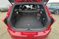 Ford Focus Wagon 1.0 EcoBoost ST Line Business Rouge - thumbnail 18