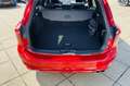 Ford Focus Wagon 1.0 EcoBoost ST Line Business Rojo - thumbnail 21