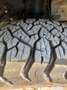 Land Rover Discovery Discovery 2.5 Td5 SE SE Verde - thumbnail 7