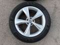 Audi Q5 2.0 TDI quattro S-Line ab ca. 243€ monatlich Black - thumbnail 25