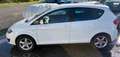 SEAT Altea 1.4 Weiß - thumbnail 5