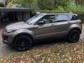 Land Rover Range Rover Evoque Range Rover Evoque TD4 Aut. SE Bronze - thumbnail 3