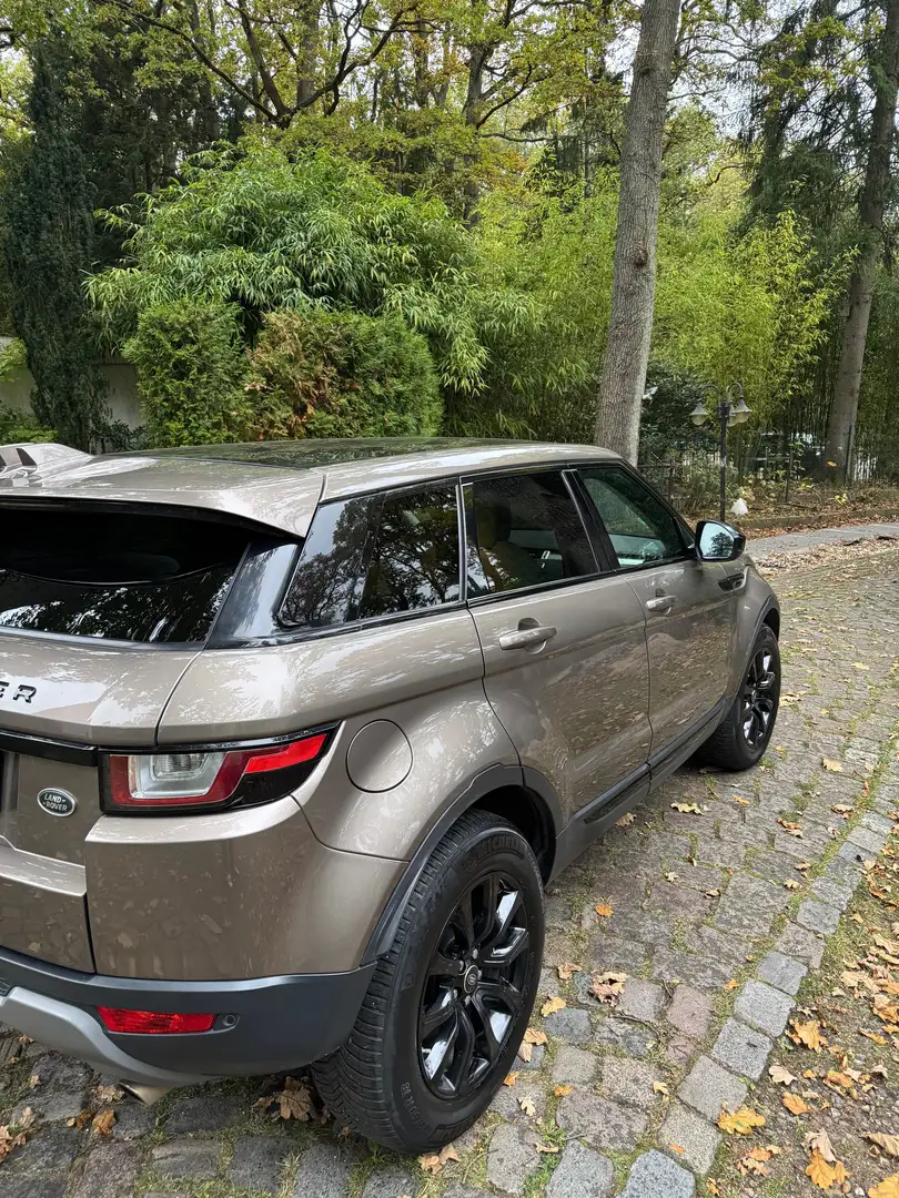 Land Rover Range Rover Evoque Range Rover Evoque TD4 Aut. SE Bronze - 2