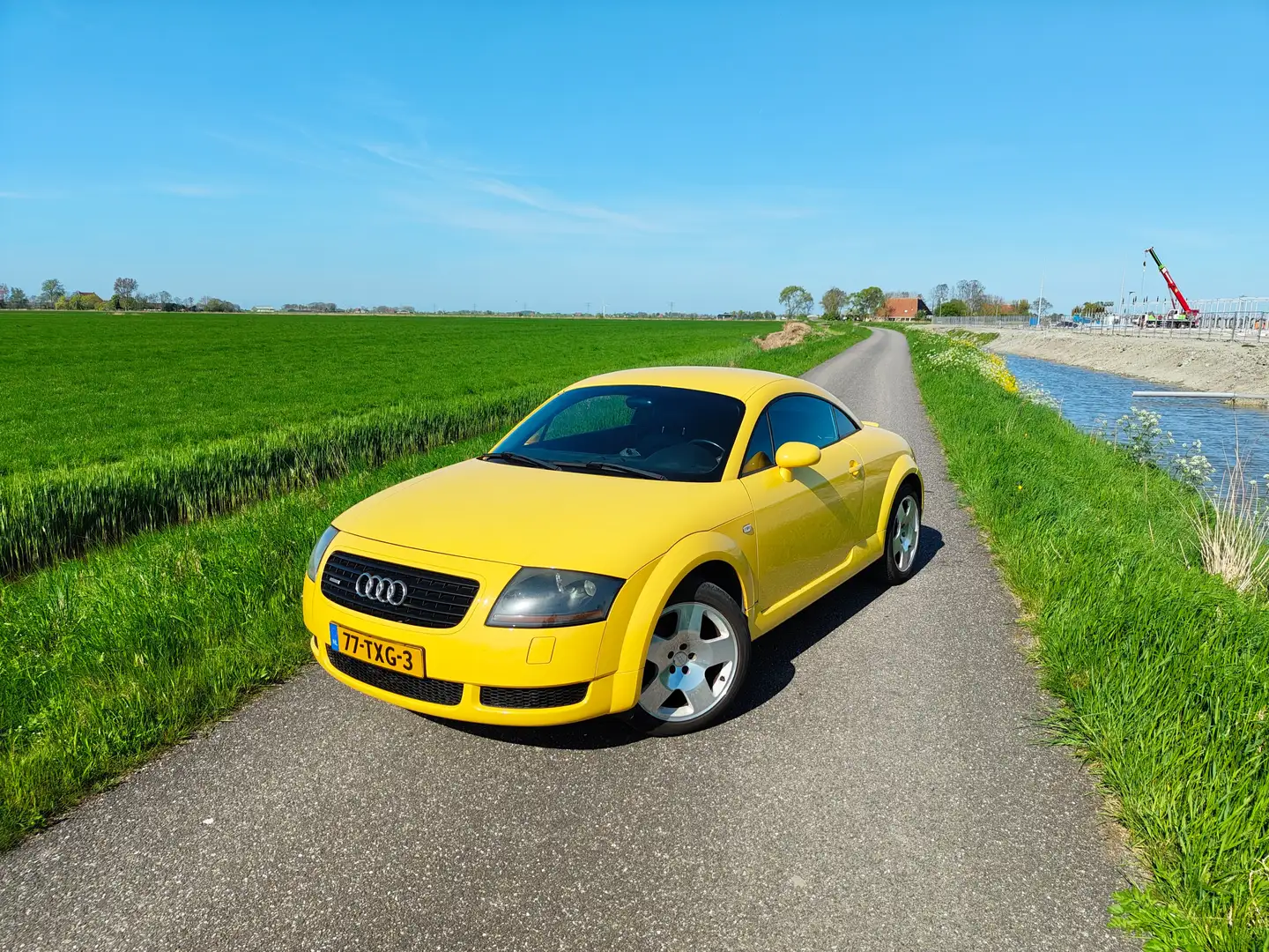Audi TT TT 1.8 5V Turbo quattro Imolageel Sarı - 1