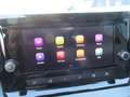 SEAT Ibiza 1,0 TSI FR Edition Grau - thumbnail 9
