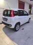 Fiat Panda Panda 0.9 TwinAir Turbo Natural Power Lounge Weiß - thumbnail 6
