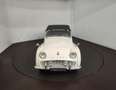 Triumph TR3 Wit - thumbnail 15