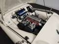 Triumph TR3 Wit - thumbnail 48