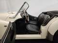 Triumph TR3 Wit - thumbnail 32