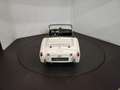Triumph TR3 Wit - thumbnail 11