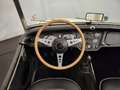 Triumph TR3 Wit - thumbnail 30