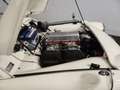 Triumph TR3 Wit - thumbnail 49