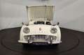 Triumph TR3 Wit - thumbnail 46