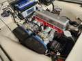 Triumph TR3 Wit - thumbnail 50