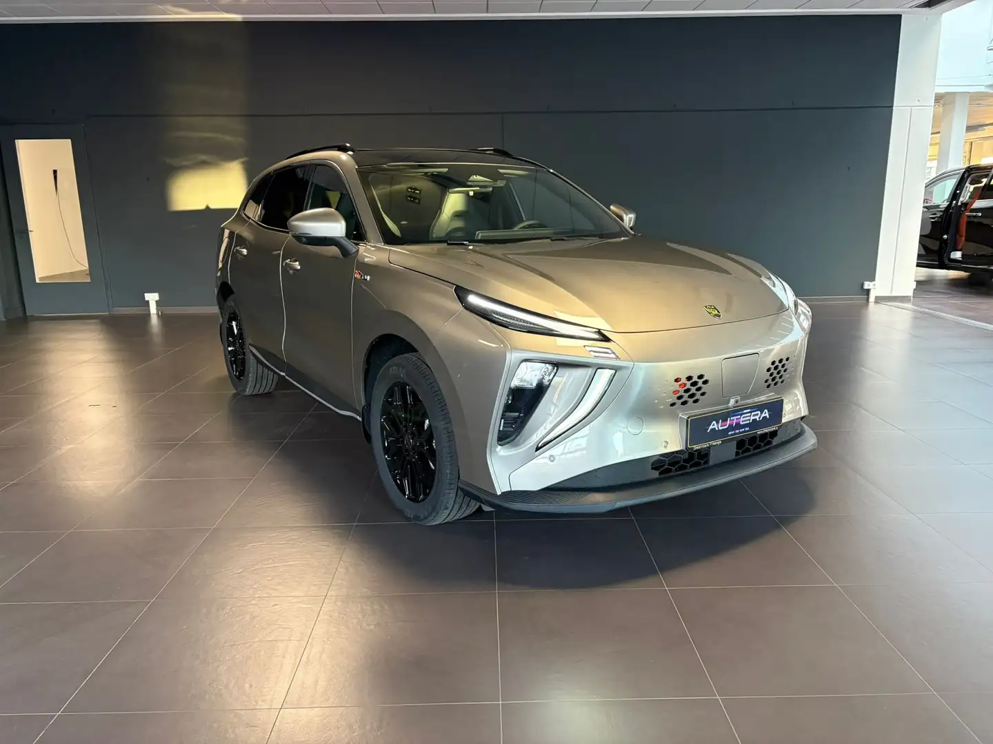 Forthing T5 Evo FRIDAY • ELECTRIQUE FULL OPTIONS Grau - 1