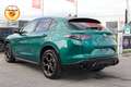 Alfa Romeo Stelvio 2.0 280cv Intensa Q4 | TETTO | VERDE MONTREAL Verde - thumbnail 5