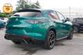 Alfa Romeo Stelvio 2.0 280cv Intensa Q4 | TETTO | VERDE MONTREAL Verde - thumbnail 16