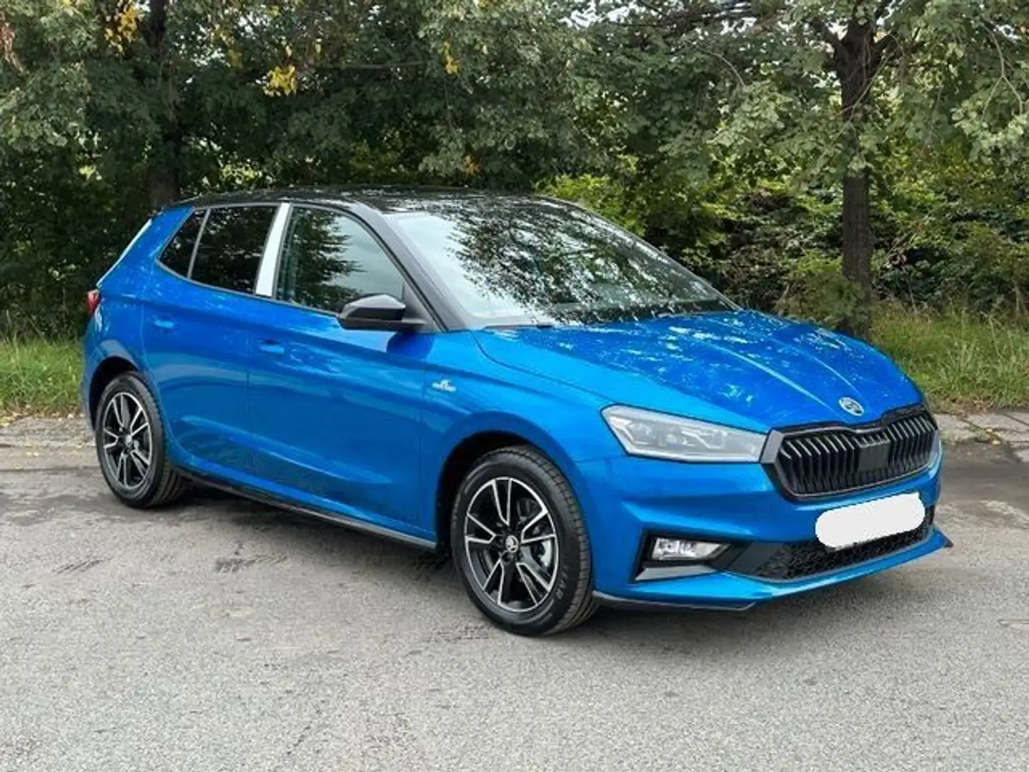 Skoda Fabia 1,0 TSI Monte Carlo PDC SHZ LED Kamera Blu/Azzurro - 2