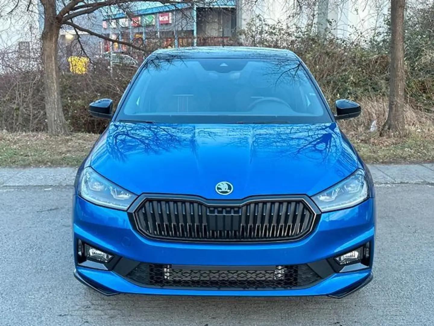 Skoda Fabia 1,0 TSI Monte Carlo PDC SHZ LED Kamera Blu/Azzurro - 1