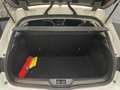 Renault Megane Business Energy dCi 81kW (110CV) Blanco - thumbnail 13