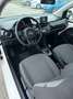 Volkswagen up! Volkswagen up 1.0 Automatica - 2014 Bianco - thumbnail 9