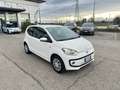 Volkswagen up! Volkswagen up 1.0 Automatica - 2014 Bianco - thumbnail 3