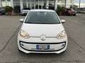 Volkswagen up! Volkswagen up 1.0 Automatica - 2014 Bianco - thumbnail 2