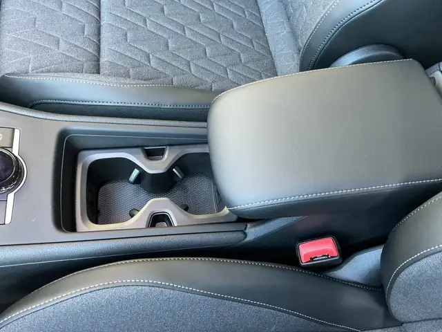 Volkswagen Tiguan Friends TDI 4MOTION DSG Ansicht 31