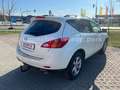 Nissan Murano Executive EXPORT oder GEWERBE Weiß - thumbnail 8