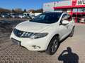 Nissan Murano Executive EXPORT oder GEWERBE Weiß - thumbnail 2