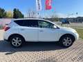Nissan Murano Executive EXPORT oder GEWERBE Weiß - thumbnail 9
