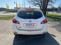 Nissan Murano Executive EXPORT oder GEWERBE Weiß - thumbnail 5
